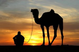 Read more about the article Hold Your Camel With a Rope